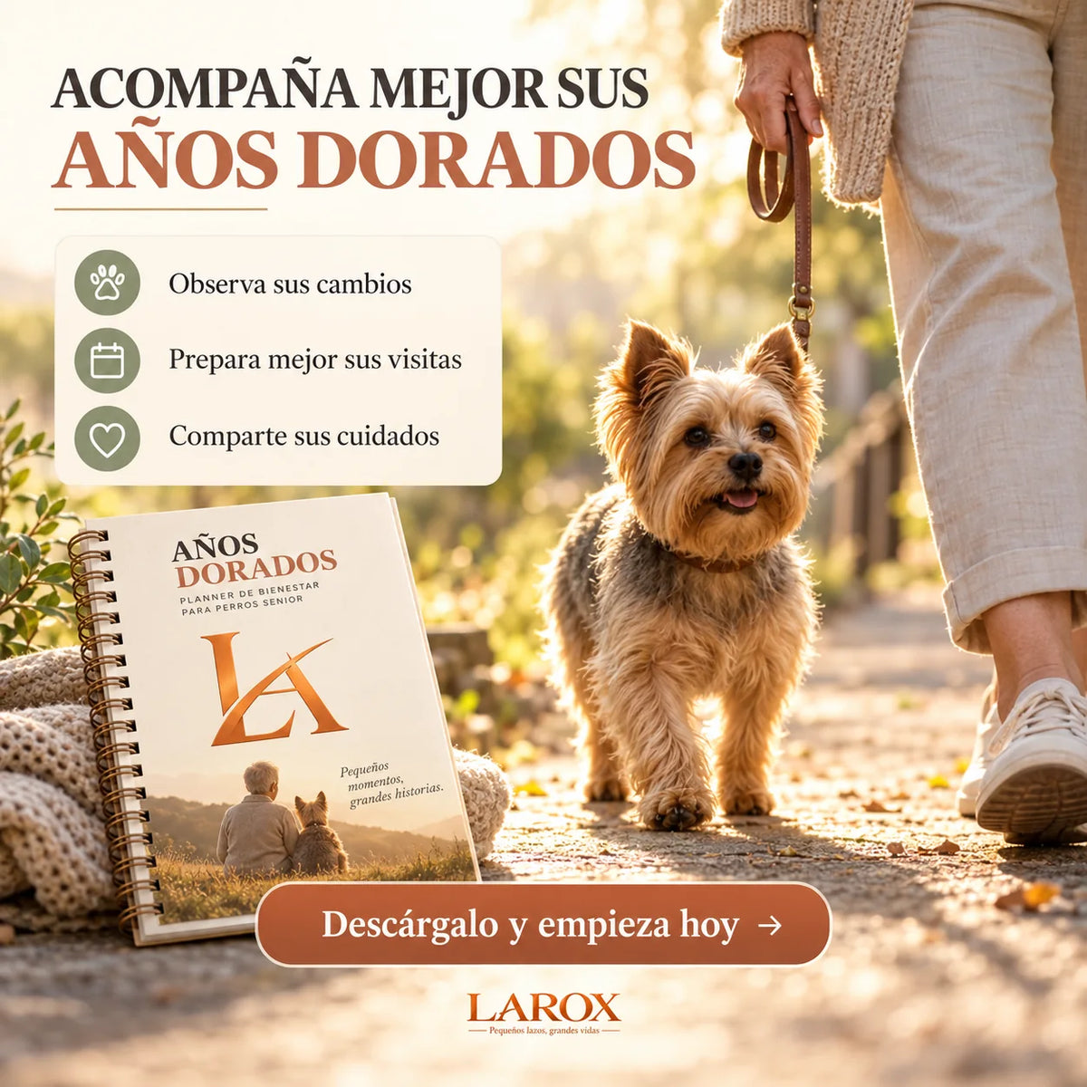 Acompaña y organiza mejor los años dorados de tu perro senior con LAROX