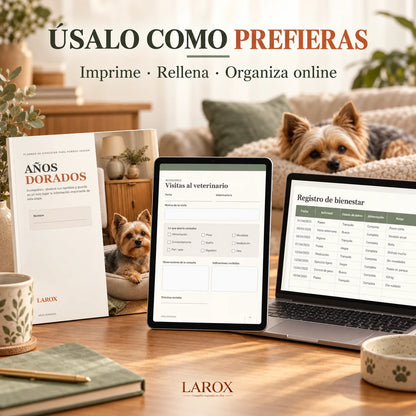 AÑOS DORADOS puede usarse impreso, en PDF o en Google Sheets