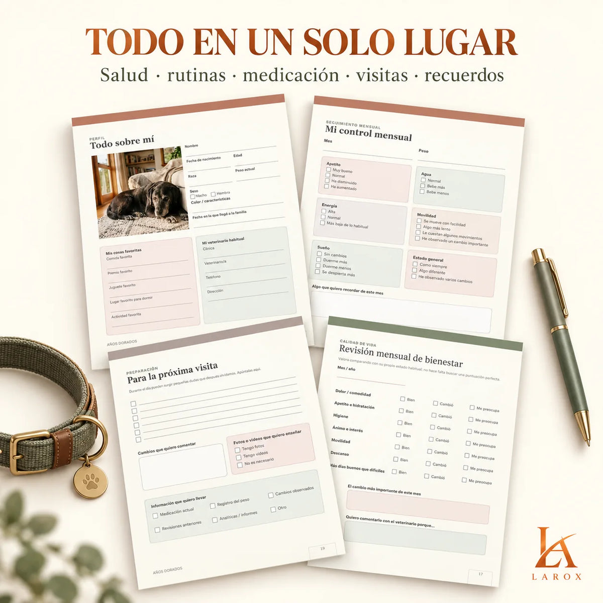 AÑOS DORADOS organiza salud, rutinas, medicación, visitas y recuerdos del perro senior